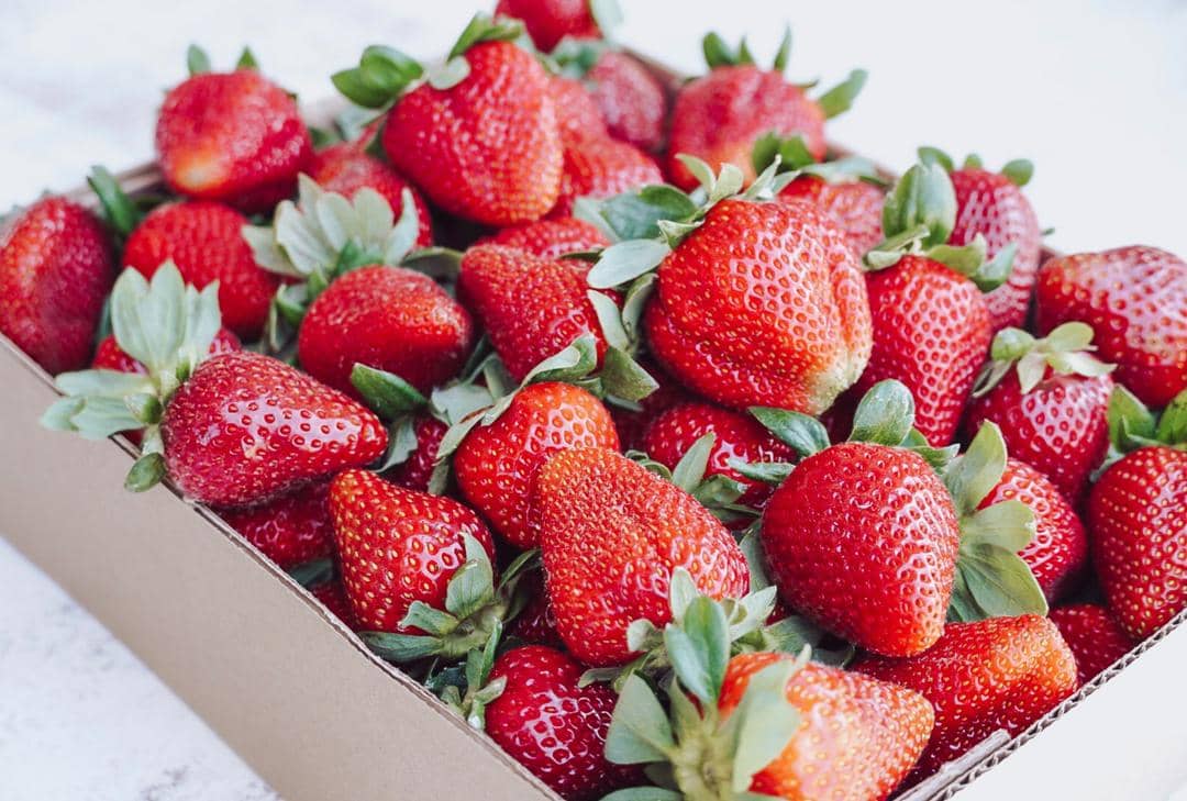 Unsplash/Thalia Ruiz