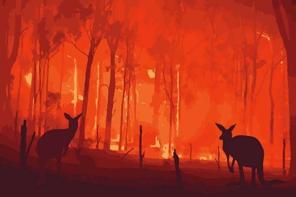 corporatecomplianceinsights.com