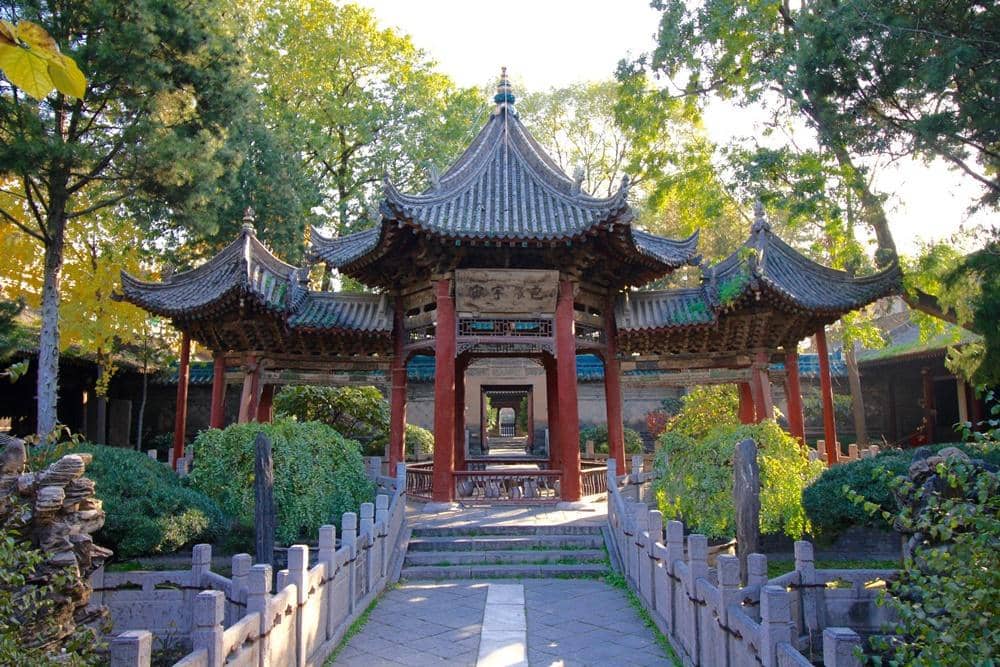 theislamicmonthly.com