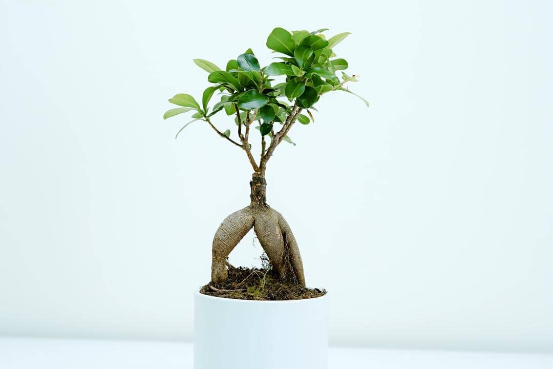 unsplash.com/Toa Heftiba