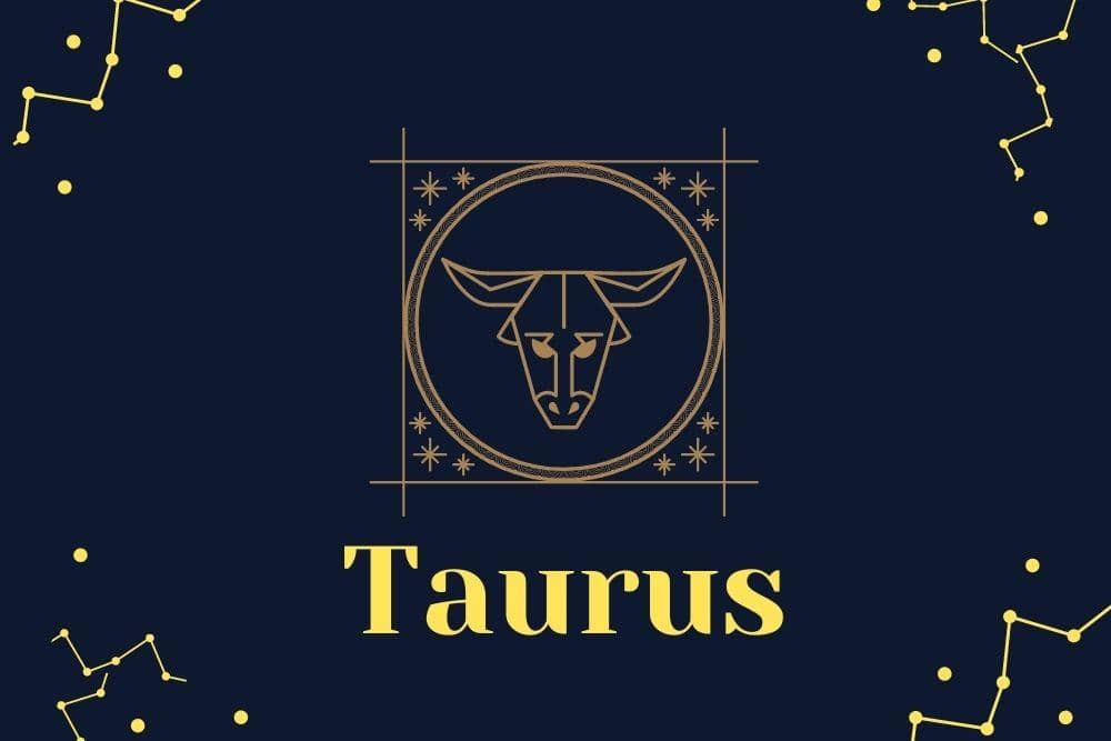 Canva.com/Andhina Effendi