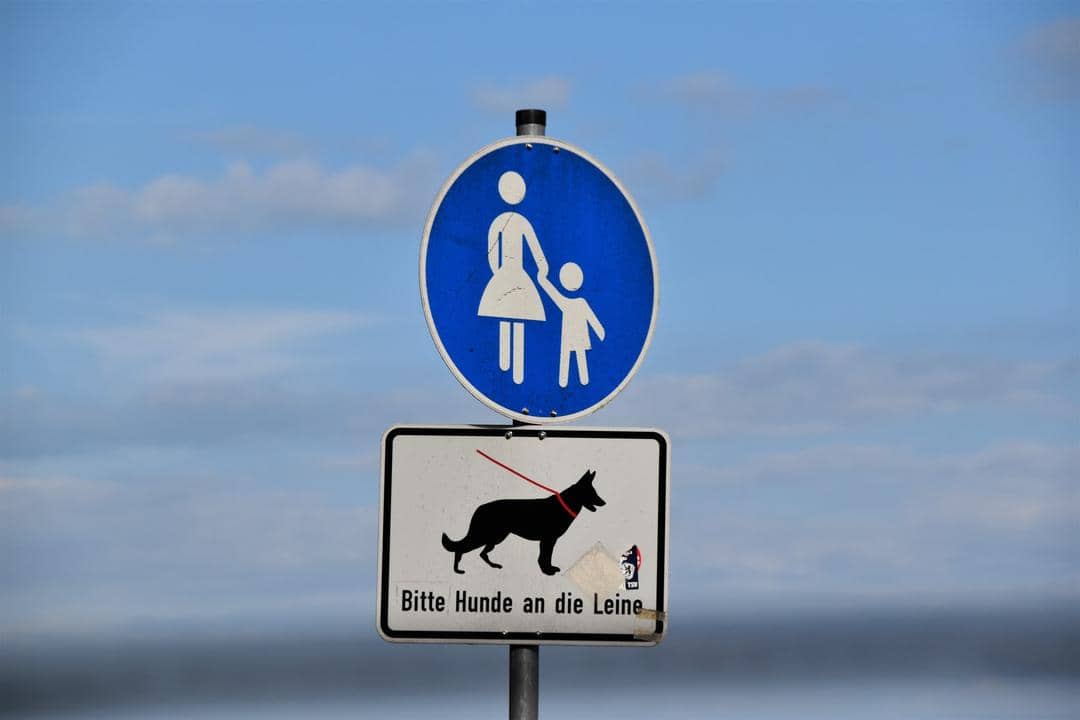 Unsplash.com/Waldemar Brandt