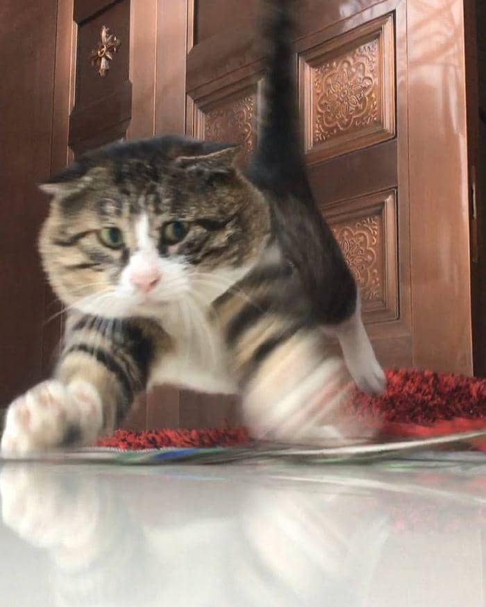 instagram.com/tang9599