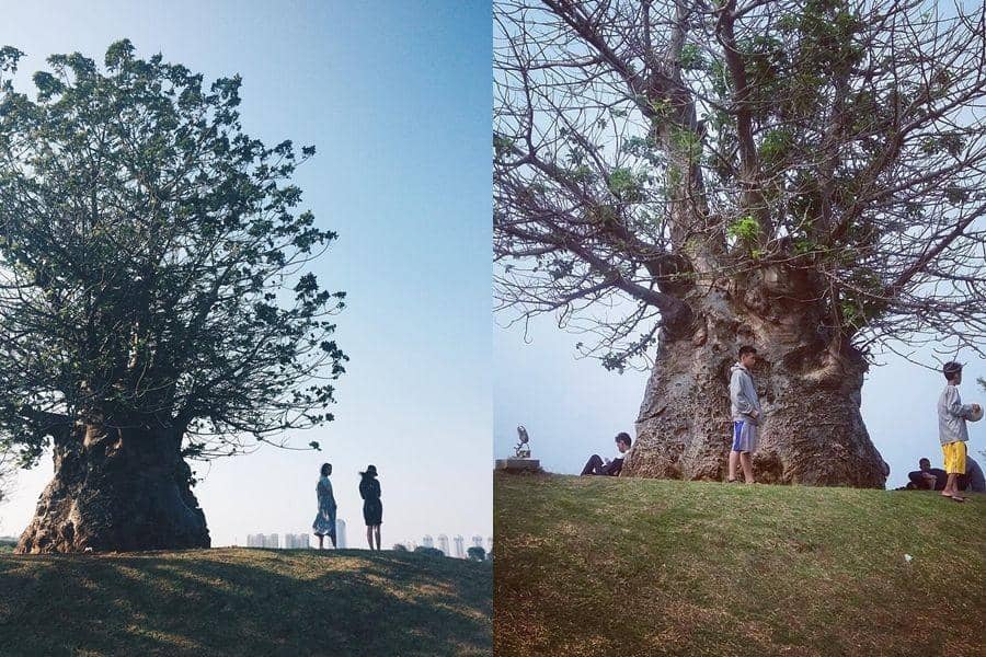 instagram.com/xxdny & instagram.com/sendyardiants