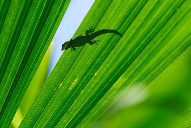 unsplash.com/DaiLopezKDE