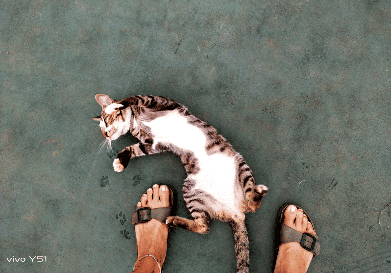 popbela.com/AyuUtami