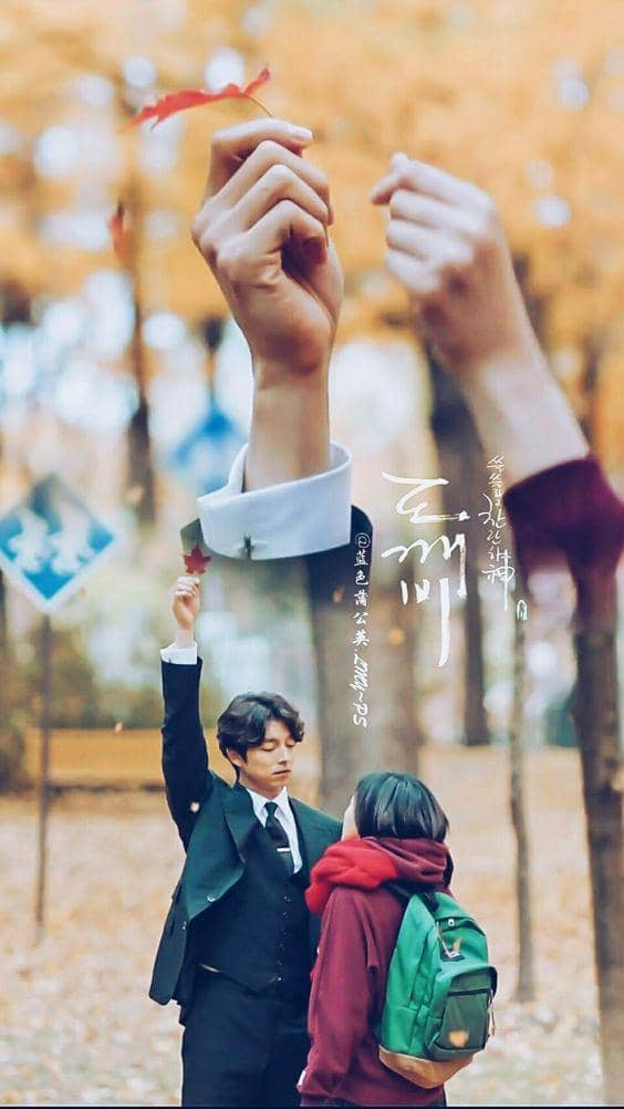 pinterest.com/ayeshaalvi