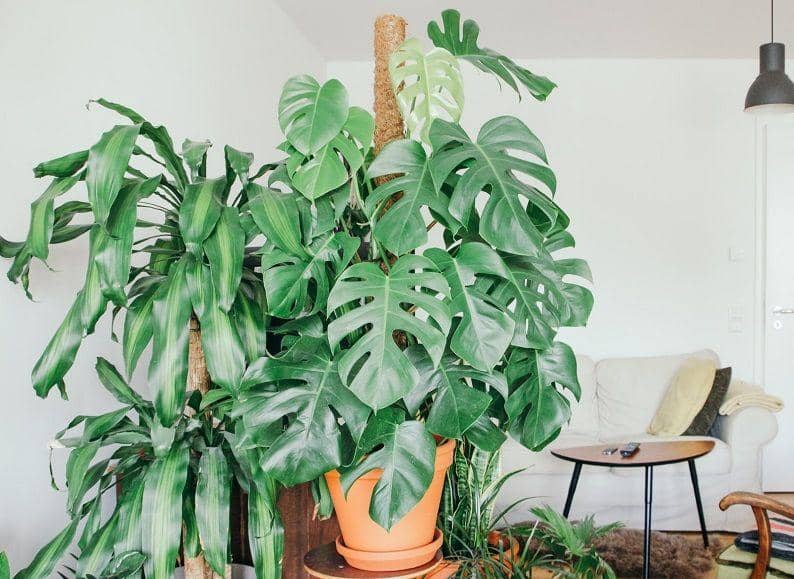 unsplash.com/Brina Blum