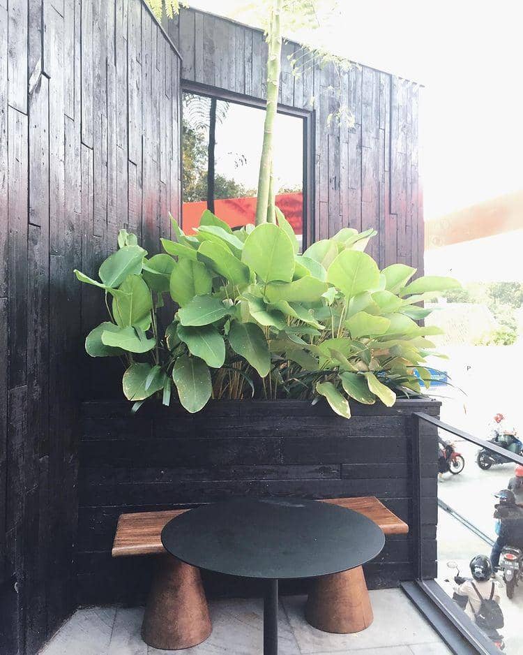 instagram.com/ rositajalanjalan