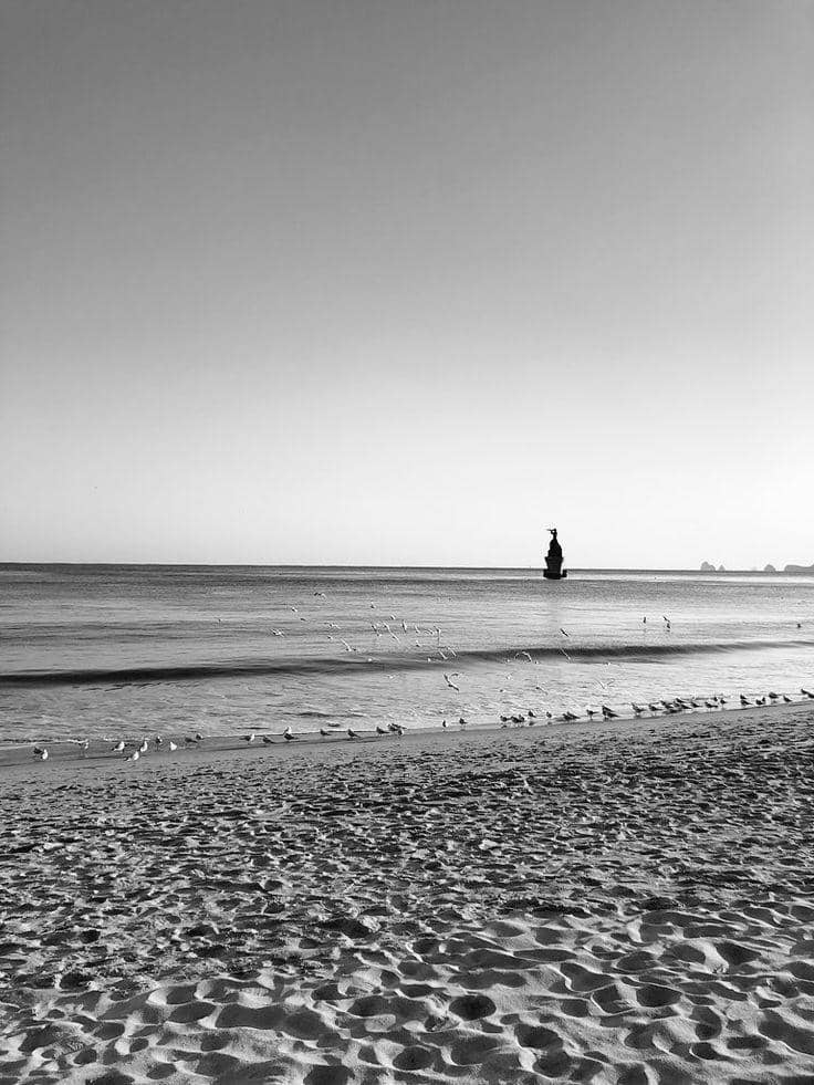 twitter.com/tinytaelvr