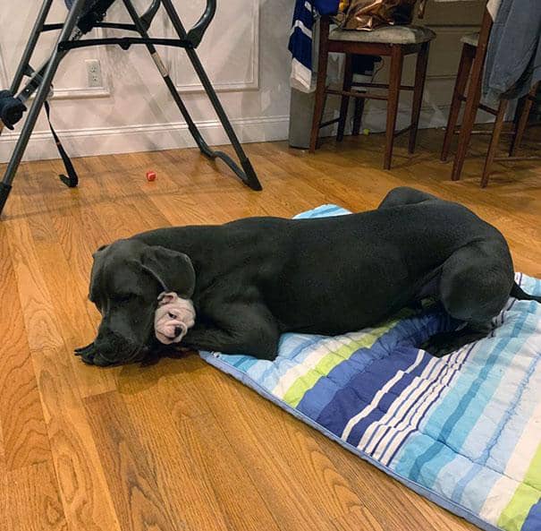 twitter.com/beth_phelan