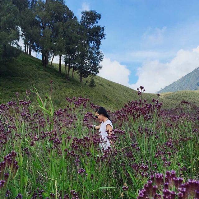 instagram.com/citilink