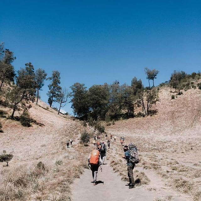 instagram.com/zulfanboy