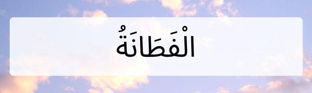 Canva.com, Edited by Romi Subhan