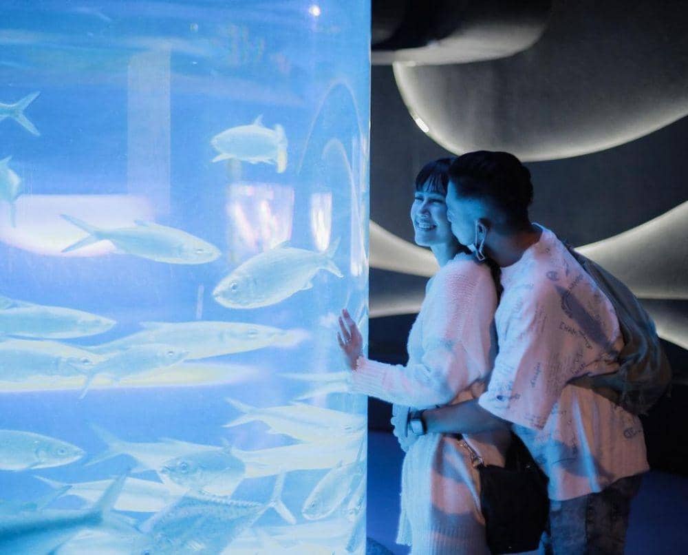 Instagram.com/ardinarasti6