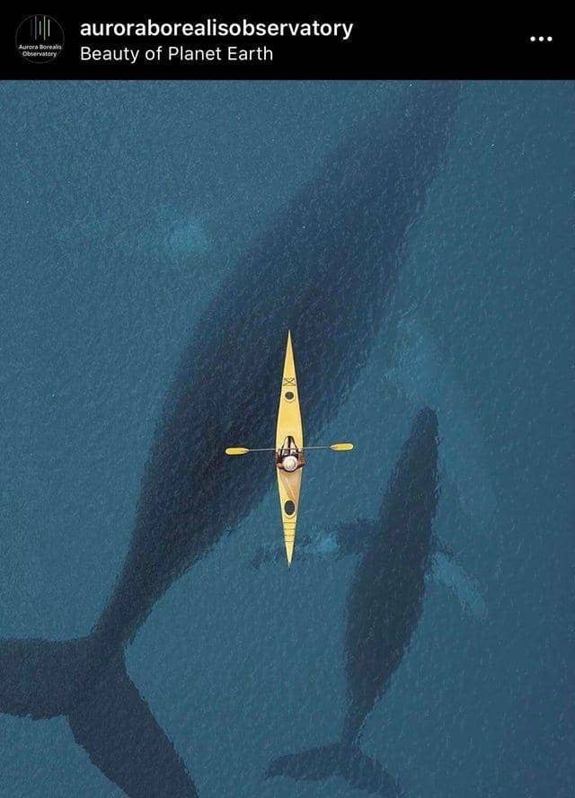 reddit.com/tweeedles