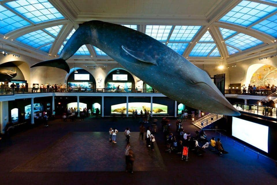 reddit.com/theo_blake