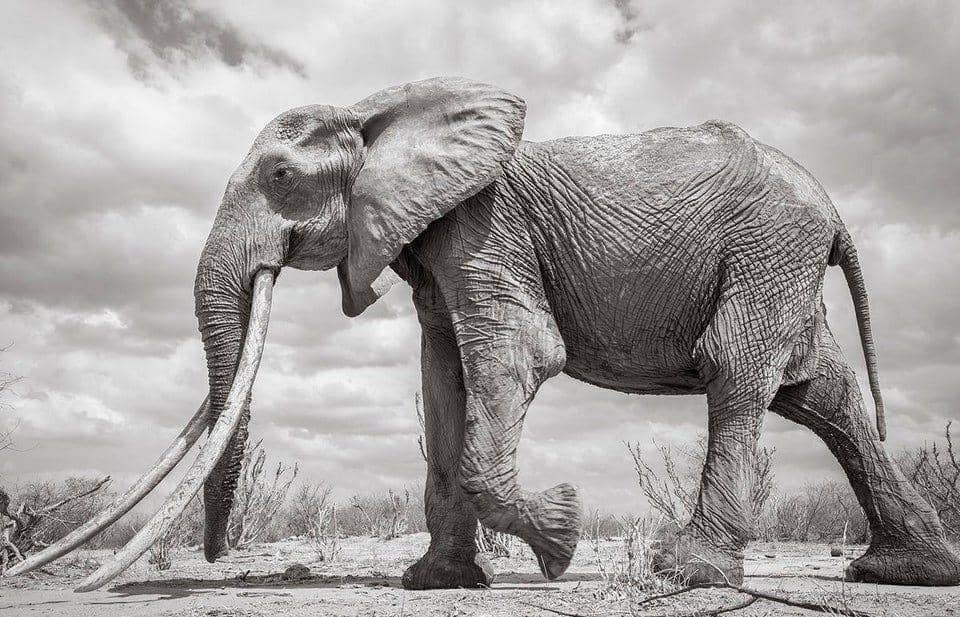 reddit.com/hunterrisk21