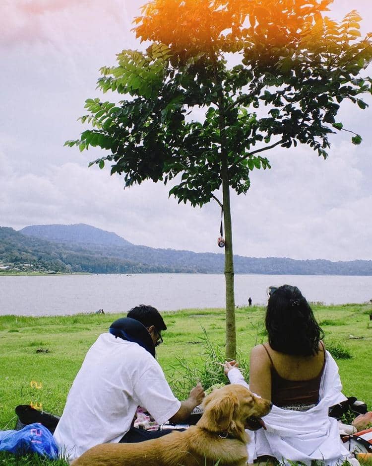 Instagram.com/shafaharris