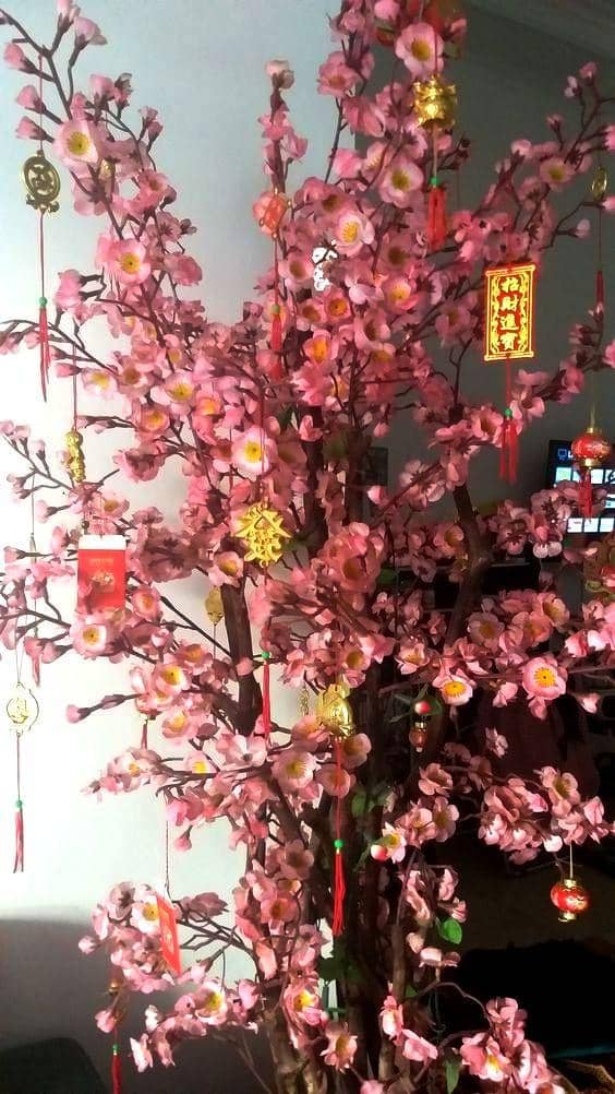 pinterest.com/ayling