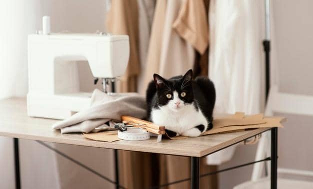 freepik.com/ freepik