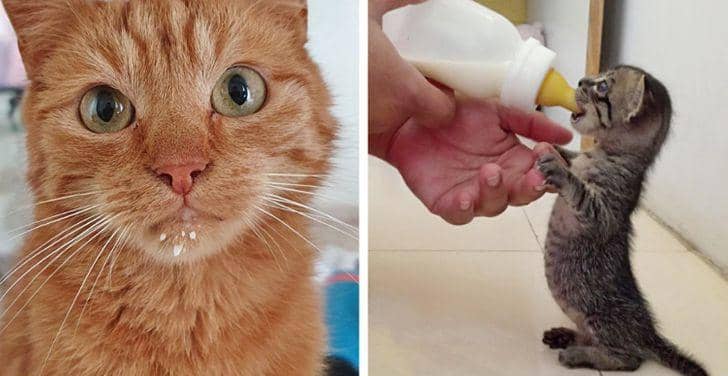 reddit.com/ Pholyphemus