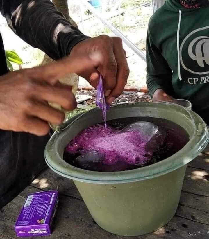 twitter.com/DuniaKuli