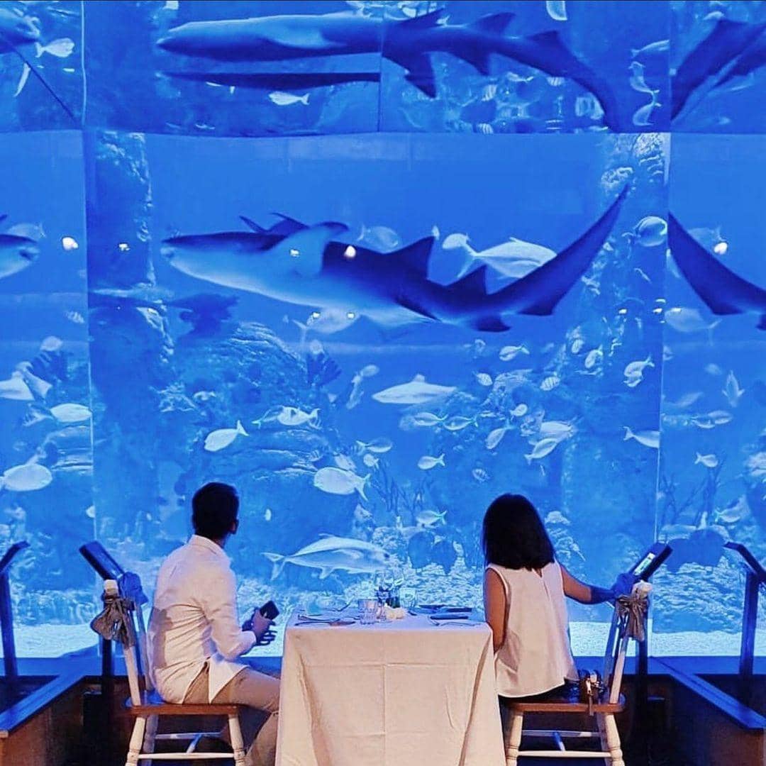 Instagram.com/jakartaaquarium