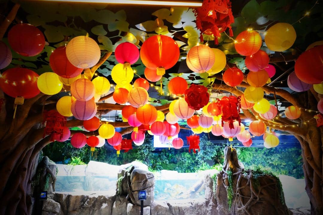 Dok. Jakarta Aquarium