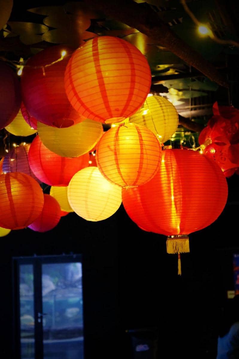 Dok. Jakarta Aquarium