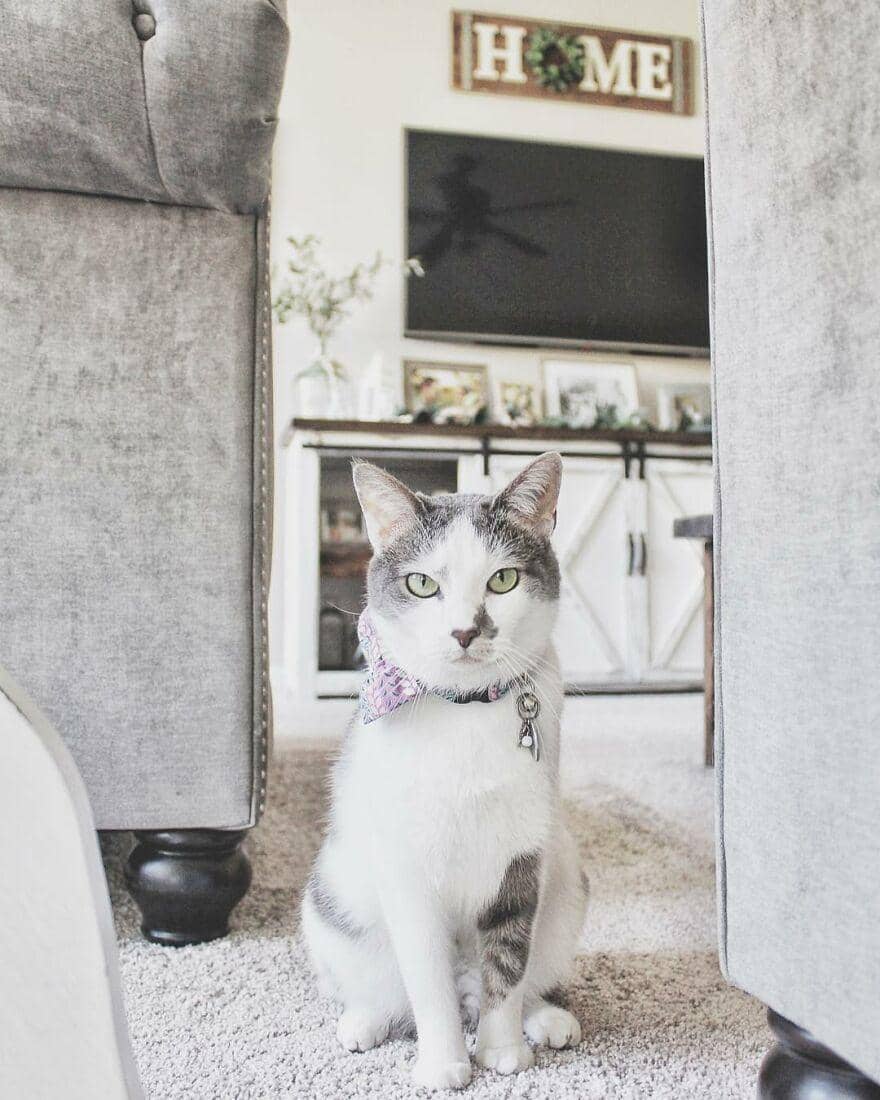 instagram.com/newbuild_newlyweds