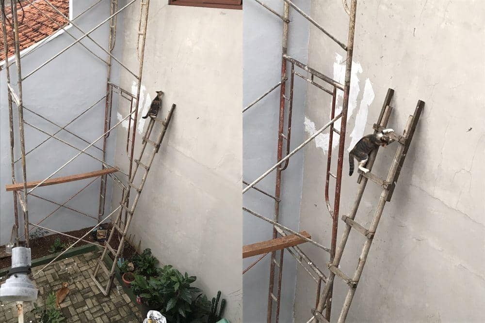 Twitter.com/hyperbloom__