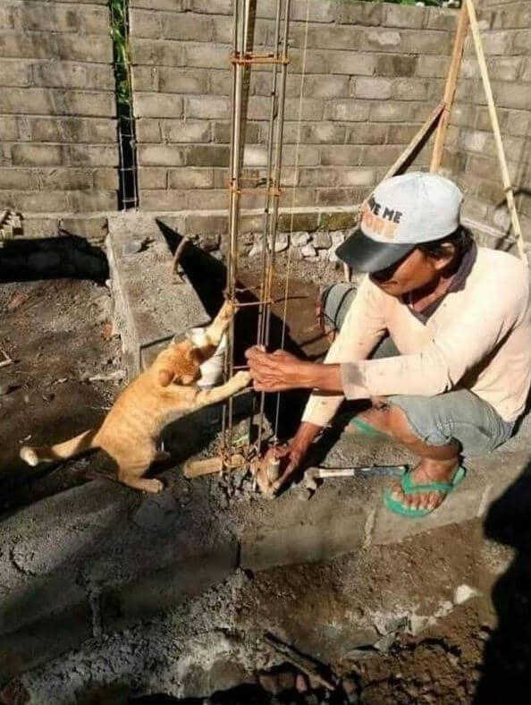 Twitter.com/twitkocheng