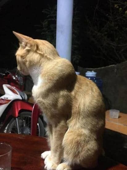 Twitter.com/adrianntooo