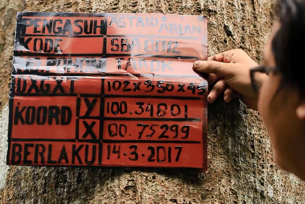Dok. Hutan Itu Indonesia