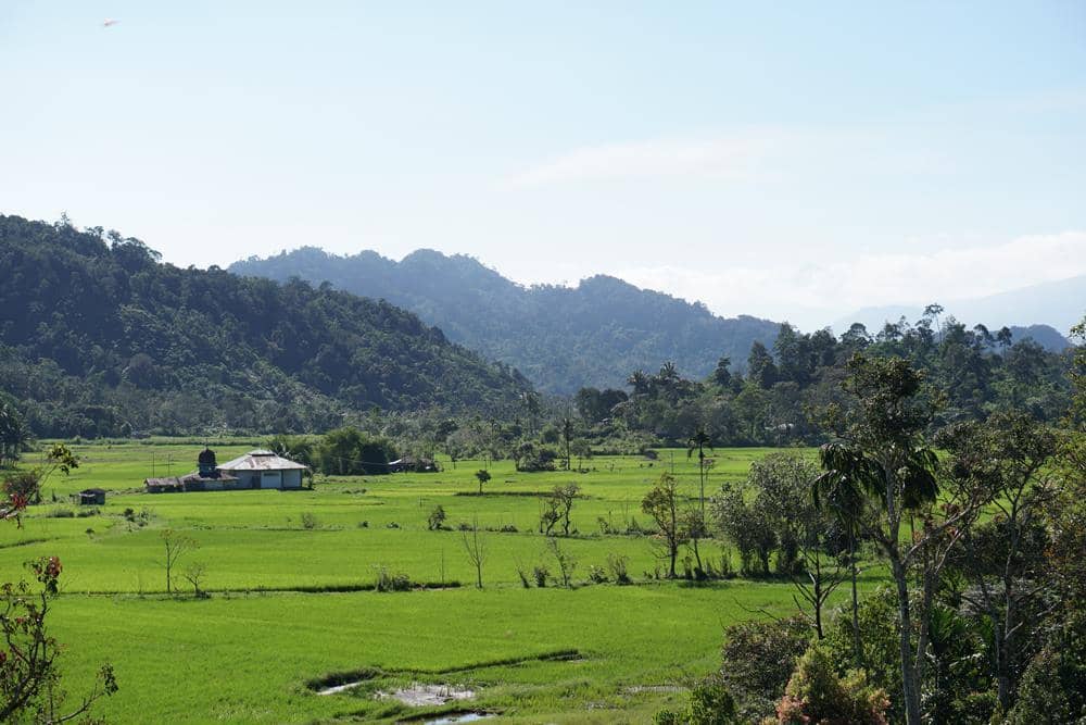Dok. Hutan Itu Indonesia