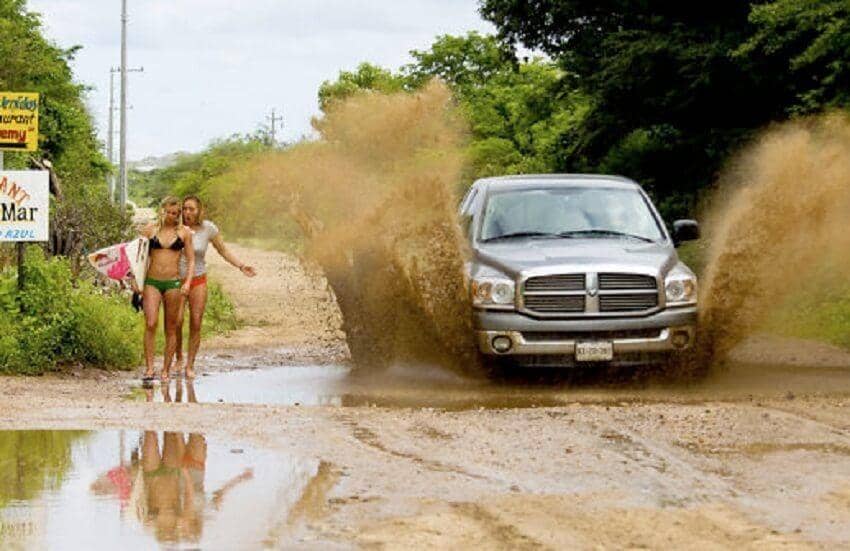 reddit.com/bagelbunny