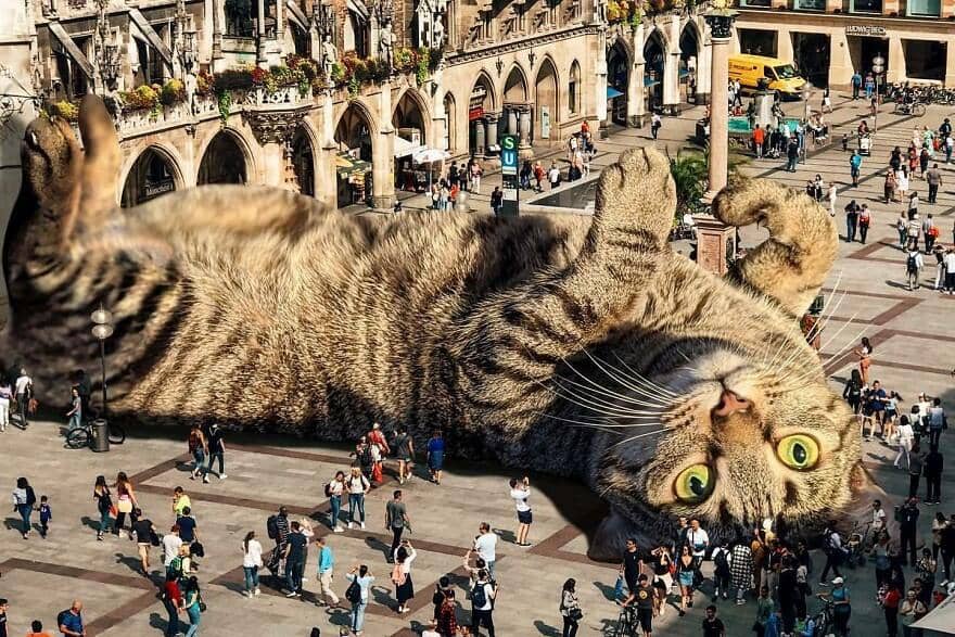 instagram.com/mrmattmccarthy/