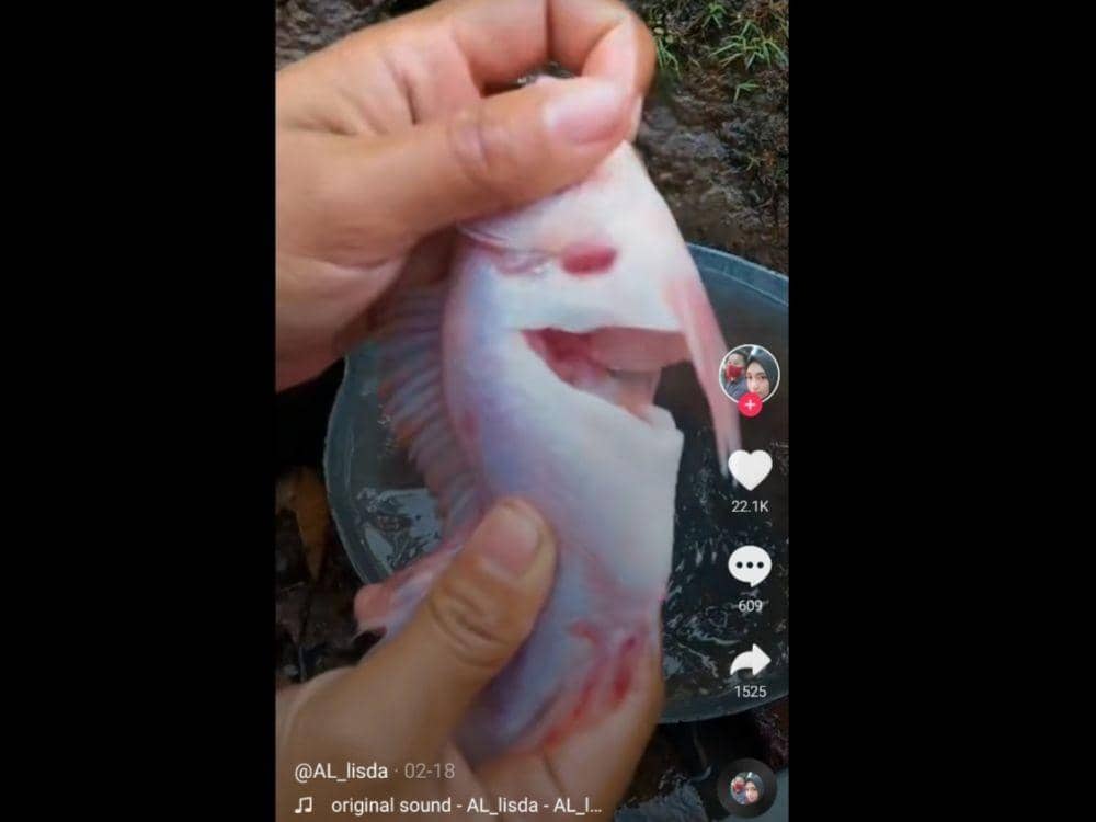 TikTok.com/@AL_lisda