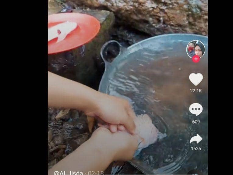 TikTok.com/@AL_lisda