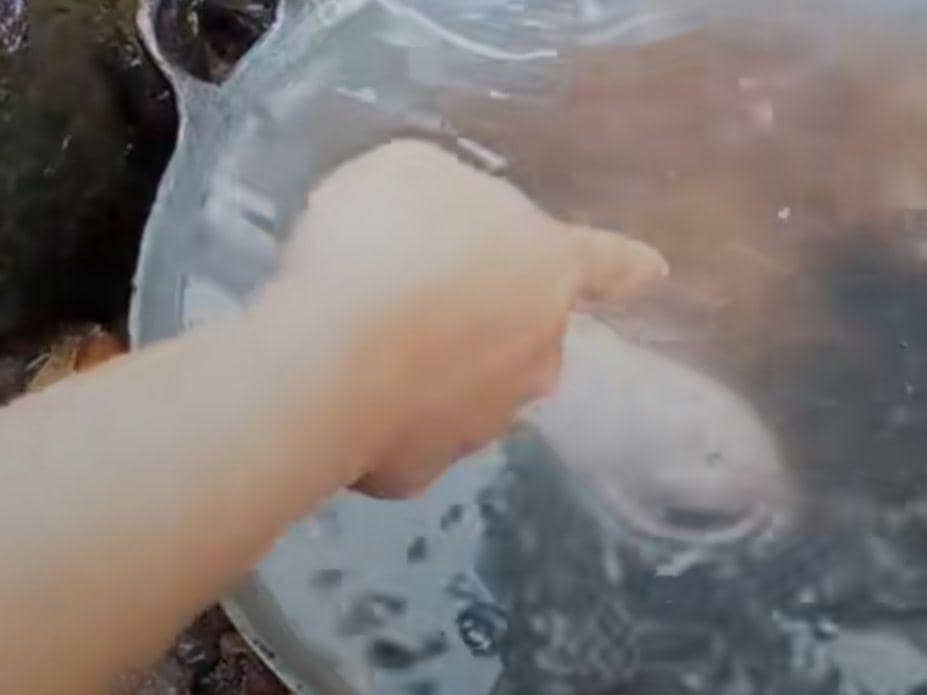 TikTok.com/@AL_lisda