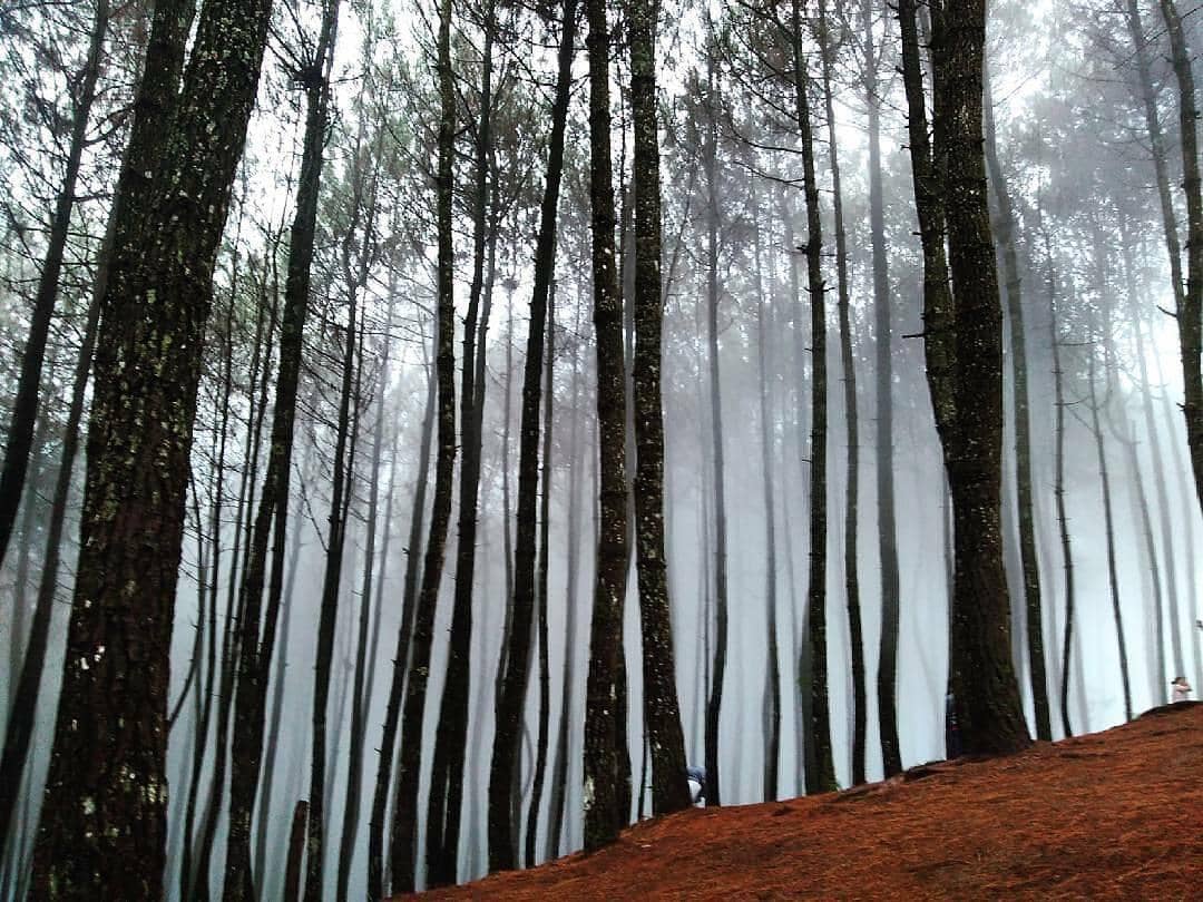 Instagram.com/bukitmoko