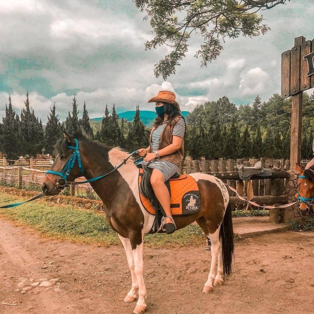 instagram.com/esihafrn