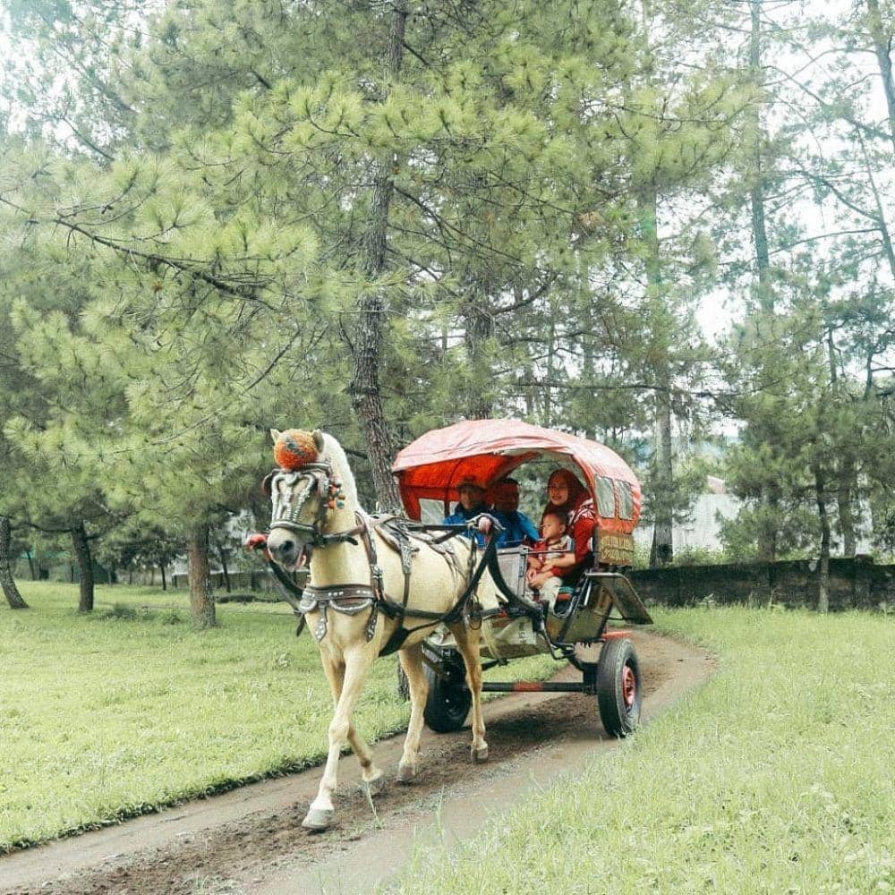 Instagram.com/deranchlembang