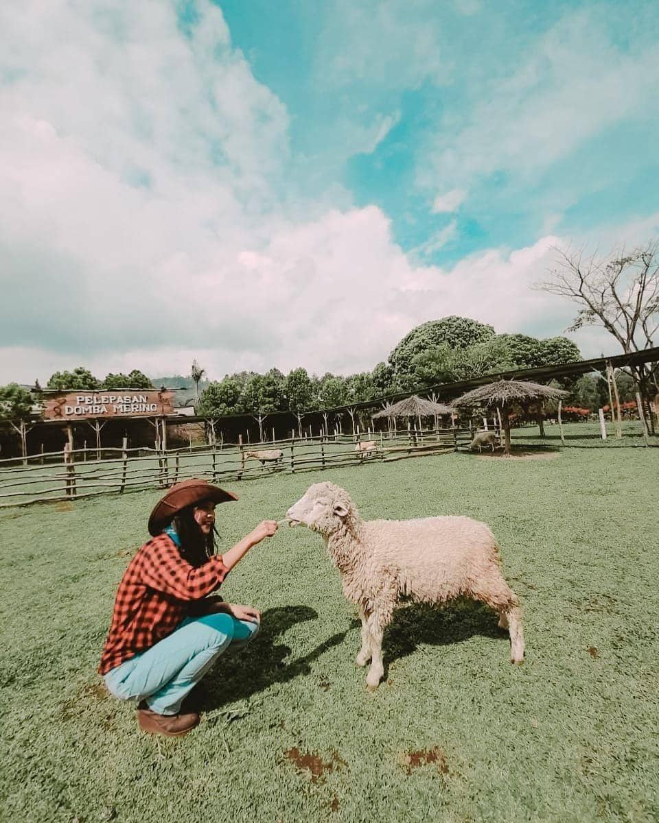 Instagram.com/deranchlembang