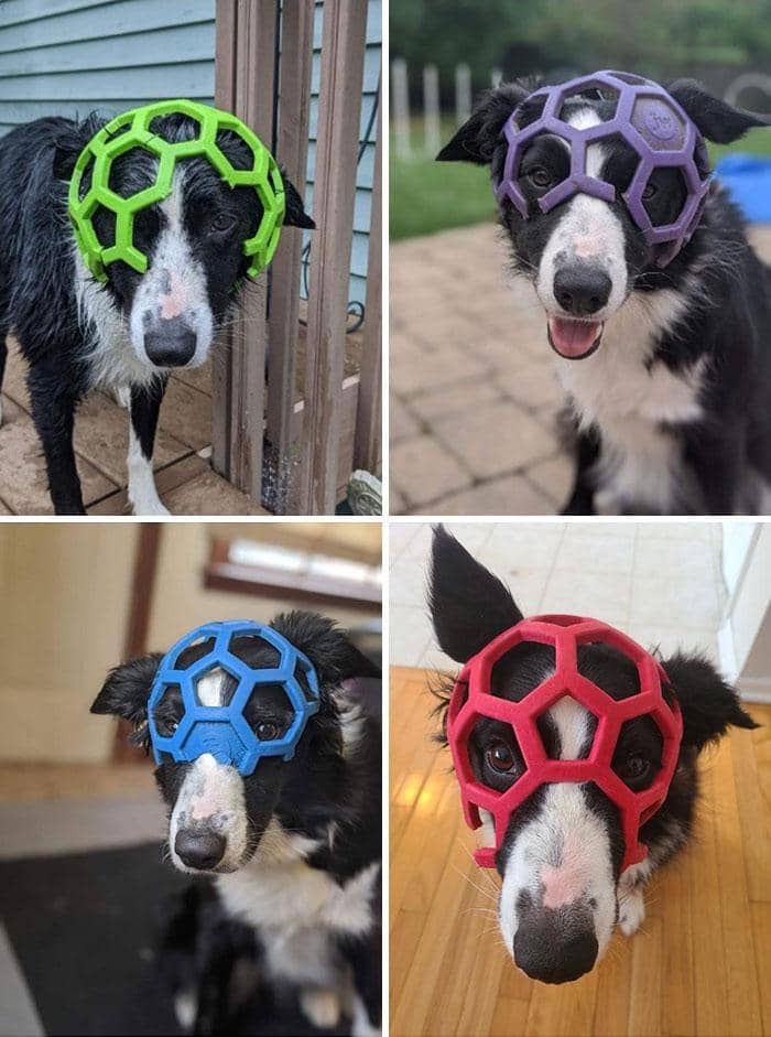 reddit.com/brave_news_squirrels