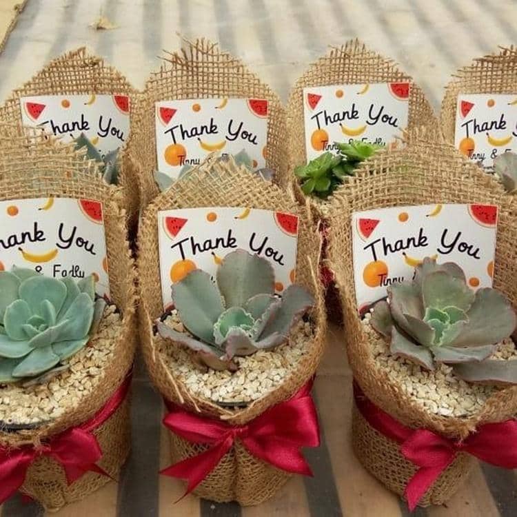 Instagram.com/souvenir_kaktus_sekulen