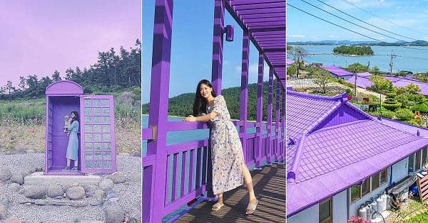 havehalalwilltravel.com