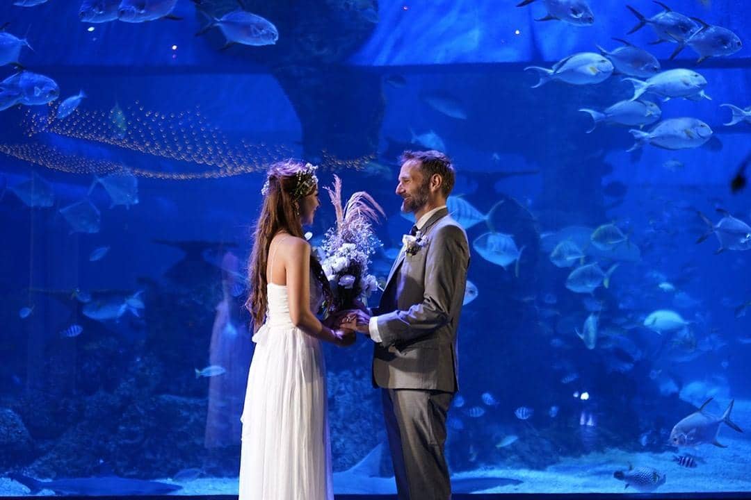 Instagram.com/jakartaaquarium