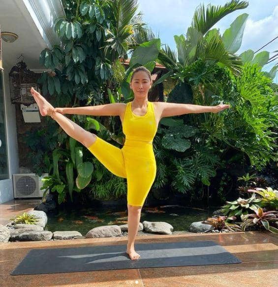 instagram.com/inul.d/